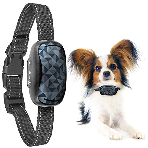 GoodBoy Small Rechargeable Dog Bark Collar for Tiny to Medium Dogs Weatherproof and Vibrating Anti Bark Training Device That is Smallest & Most Safe On Amazon - No Shock No Spiky Prongs! (6+ lbs)