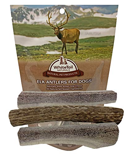 WhiteTail Naturals Premium Split Elk Antlers for Dogs | 3 Pack Small to Medium | Naturally Shed Antler Horn | 4 to 5 Inch Long | for Small Aggressive Chewers