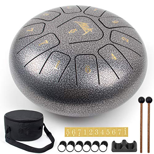 Steel Tongue Drum, AKLOT 10 inch 11 Notes Tank Drum C Key Percussion Steel Drum Kit w/Drum Mallets Note Stickers Finger Picks Mallet Bracket and Gig Bag
