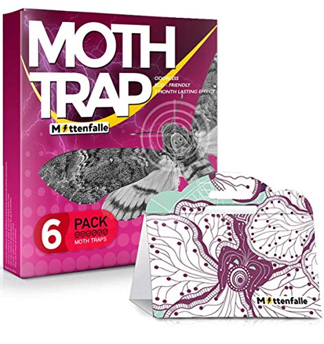 Mottenfalle Clothes Moth Traps 6-Pack - Prime Safe Non-Toxic Eco-Friendly Moth Traps with Pheromones Sticky Adhesive Tool for Wool Closet Carpet - with no Pesticides and Insecticides (Red)