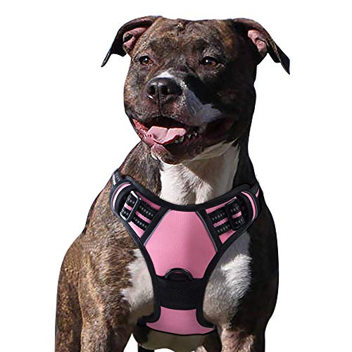 Eagloo Dog Harness No Pull, Walking Pet Harness with 2 Metal Rings and Handle Adjustable Reflective Breathable Oxford Soft Vest Easy Control Front Clip Harness Outdoor for Medium Dogs Pink