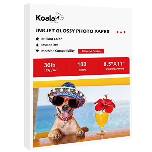 Koala Glossy Brochure and Flyer Paper 8.5x11 Inches 100 Sheets Compatible with Inkjet Printer 36LB DIY Chip Bag