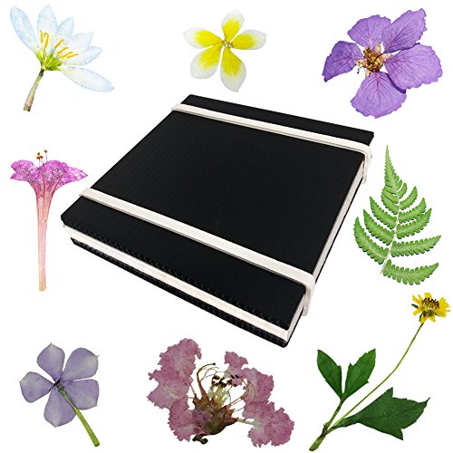Rtree Microwave Flower Press, Leaf Press, Nature Press, Flower Pressing Kit Flower Press Kit Preservation Frame Arrangements Craft Quickly Drying Press Flowers Leaves Plant Foliage Specimen