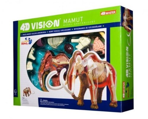 Tedco 4D Vision Woolly Mammoth Anatomy Model