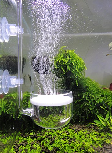 JARDLI Music Glass CO2 Diffuser for Aquarium Plant (2'' for Tank Beyond 75 gallons)
