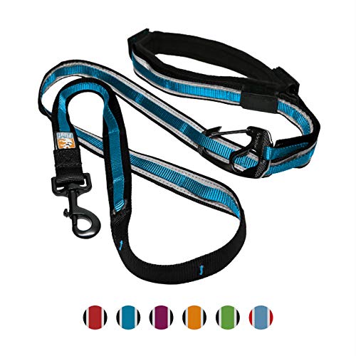 Kurgo 6 In 1 Hands Free Dog Leash | Reflective Running Belt Leash for Dogs | Crossbody & Waist Belt Leash | Carabiner| Padded Handle | for Training, Hiking, Or Jogging | Quantum Leash (Coastal Blue)