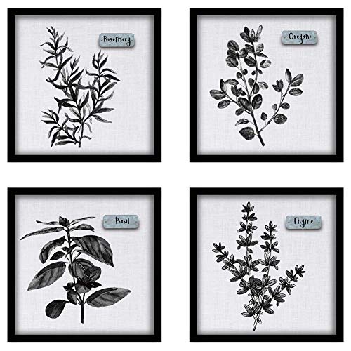 ArtbyHannah 12' x 12' 4 Pack Framed Black Picture Frame Collage Set for Wall Art Décor with Rosemary/Oregano/Basil/Thyme Plant Prints for Kitchen or Home Decoration