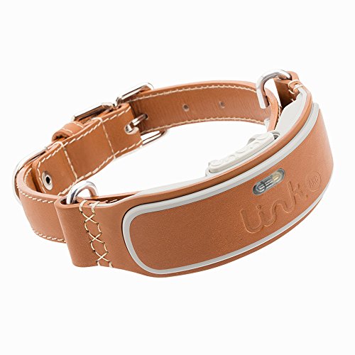 Link AKC Smart Dog Collar - GPS Location Tracker, Activity Monitor, and More, Leather Small (KITTN01)