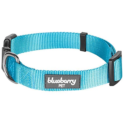 Blueberry Pet Essentials 22 Colors Classic Dog Collar, Turquoise, Small, Neck 12'-16', Nylon Collars for Dogs