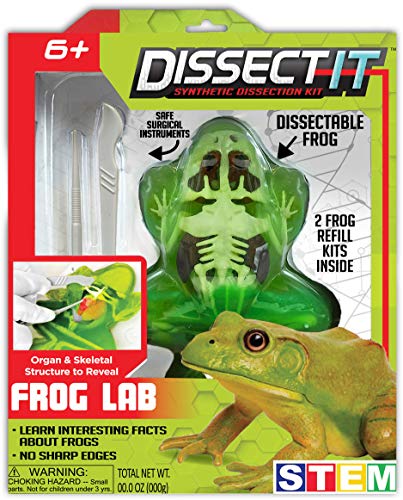 Top Secret Toys Dissect-It Simulated Synthetic Lab Dissection STEM Toy | Kids Home Learning Science Project, Great for Young Scientists! - Frog