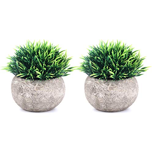 THE BLOOM TIMES 2 Pcs Fake Plants for Bathroom/Home Office Decor, Small Artificial Faux Greenery for House Decorations (Potted Plants)
