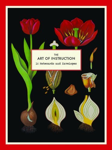 The Art of Instruction Notecard Set: 16 Notecards and Envelopes