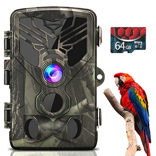 Trail Camera 1080P 20MP, Trail Cam with 64GB Card, Game Cameras with Night Vision Motion Activated Waterproof, Hunting Camera with 0.3s Trigger Time 80FT Trigger Distance 120° Wide Angle Lens 2' LCD.