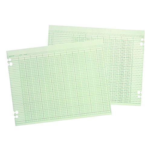 Wilson Jones WLJG3024 Green Columnar Ruled Ledger Paper, Double Page Format, 24 Columns and 36 Lines per Page, 11 x 14 Inches, 100 Sheets per Pack (WG30-24A)