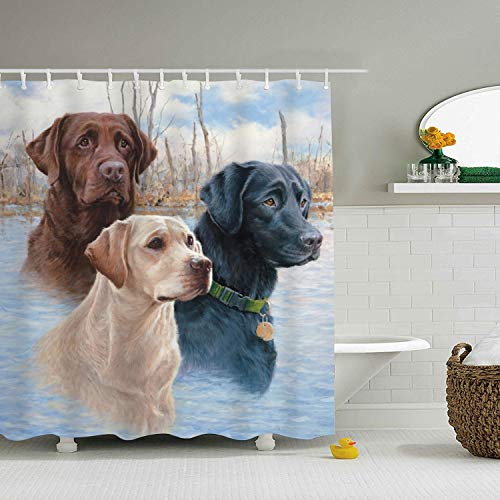 ROOMY Shower Curtain Collection by Labrador Retrievers Home Art Paintings Pictures for Bathroom 72 x 72