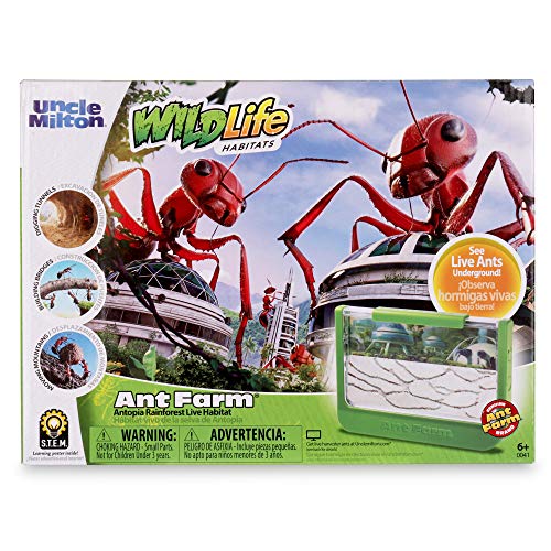 Uncle Milton Ant Farm Antopia Rainforest Ant Habitat - Observe Live Ants - Nature Learning Toy