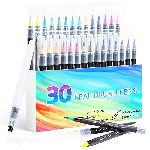 Watercolor Brush Pens, Real Brush Pen, 30 Watercolor Painting Markers with Flexible Nylon Brush Tips for Coloring, Calligraphy and Drawing (1 Water Brush Pens for Blending)