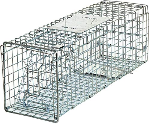 HomGarden Live Animal Trap Catch Release Humane Rodent Cage for Rabbit, Groundhog, Stray Cat, Squirrel, Raccoon, Mole, Gopher, Chicken, Opossum & Chipmunks Nuisance Rodents 24inch