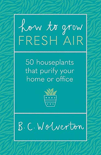 How To Grow Fresh Air: 50 Houseplants That Purify Your Home Or Office