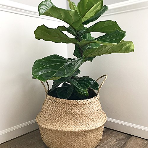 Natural Craft Large Size Seagrass Belly Basket for Storage, Laundry, Picnic and Woven Straw Beach Bag - Plant Pots Cover Indoor Decorative