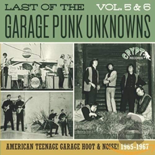 Last Of The Garage Punk Unknowns 5 & 6 / Various