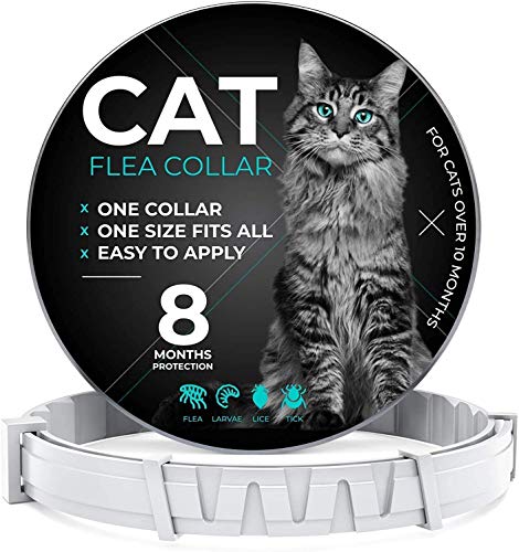 CRUZYO Flea and Tick Prevention for Cats - One Size Fits All - Waterproof Best Protection and Adjustable - 8 Month Essential Natural Herbal Oil - Gray