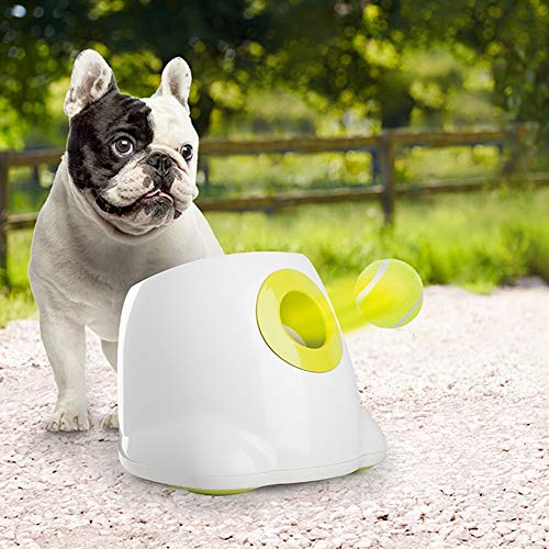 All for Paws Interactive Automatic Ball Launcher Dog Toy, Tennis Ball Throwing Machine for Small and Medium Size Dog Training, 3 Balls Included, Mini Version