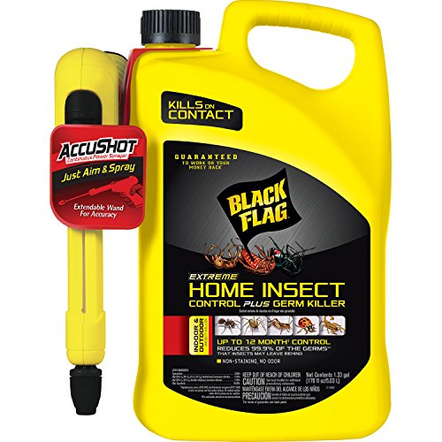 Black Flag Extreme Home Insect Control + Germ Killer (AccuShot Sprayer) 1.33-Gallon