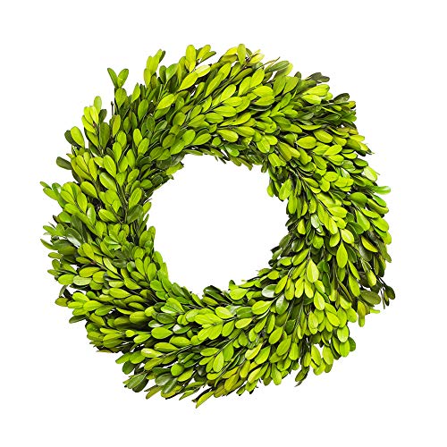 BoxwoodValley Preserved Boxwood Wreath One 11 inch Green Garland for Indoor Thanksgiving Halloween Christmas Wreath Decor Stay Fresh for Years(Wreath, 11')