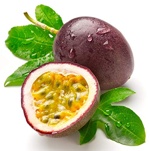 Fresh Florida Grown Passion Fruit (3 Lbs)