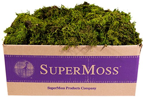 SuperMoss (22167) Sheet Moss Mini (Shredded) Preserved, Fresh Green, 3lbs