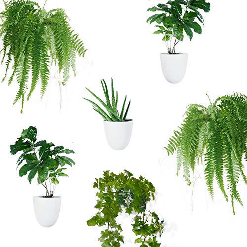 Set of 6 Round Wall Planters - Lightweight and Easy To Install - Design Your Own Vertical Garden - Melamine Plastic