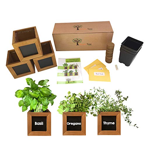 Indoor Herb Garden Kit - Includes 3 Wooden Herb Pots, Internal drip Trays, Soil Pellets, Chalk, Instructions Booklet and Basil, Oregano & Thyme Non GMO Herb Seeds. DIY Kitchen Herbs Growing Kit.