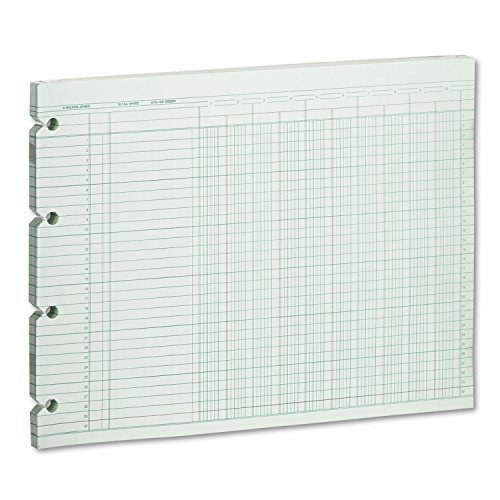 Wilson Jones G1010 Accounting Sheets, 10 Column, 9-1/4 x 11-7/8, 100 Loose Sheets/Pack, Green