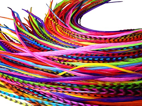 Feather Hair Extensions, 100% Real Rooster Feathers, Long Rainbow Colors, 20 Feathers with Bonus Free Beads and Loop Tool Kit, by Feather Lily RAIN