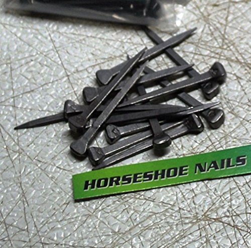 Horseshoe Nails - Size 5 E- Head - for Jewelry Art Supplies, Leaded Stained Glass Projects, Horses, or Rustic Decor - The Heritage Forge Chrome - 25