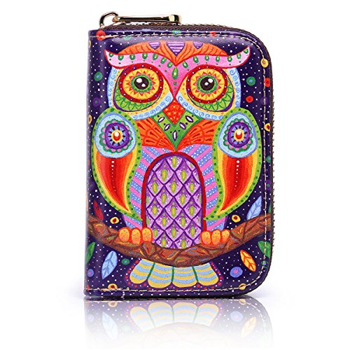 APHISON RFID Credit Card Holder Wallets for Women Leather Cartoon Patterns Zipper Card Case for Ladies Girls / Gift Box 006