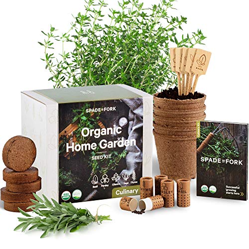 Indoor Herb Garden Starter Kit - Certified 100% USDA Organic Non GMO - Potting Soil, Peat Pots, 5 Herb Seed Basil, Cilantro, Parsley, Sage, Thyme - DIY Kitchen Grow Kit for Growing Herb Seeds Indoors