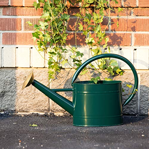 HORTICAN Galvanized Watering Can Modern Style Watering Pot with Handle and Rosehead for Outdoor and Indoor House Plants (1.3 gal/Green)