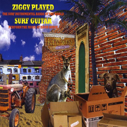 Ziggy Played Surf Guitar / Various