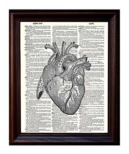 Anatomical Human Heart - Printed on Upcycled Vintage Dictionary Paper - 8'x11' Anatomy Art Poster/Print