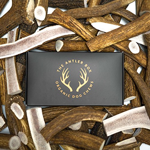 The Antler Box-Premium Elk Antler Dog Chews (1 lb Bulk Pack) -Both Whole and Split Antlers-Long Lasting Organic Chewing Toys Sourced from Naturally Shed Antlers in The USA (Large)