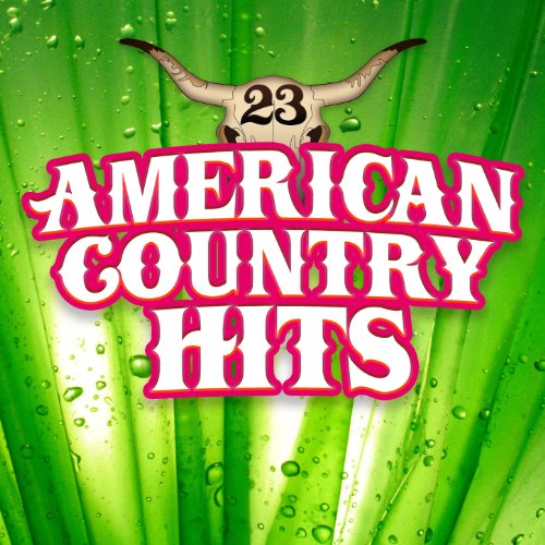 Todays Country Hits, Vol 23