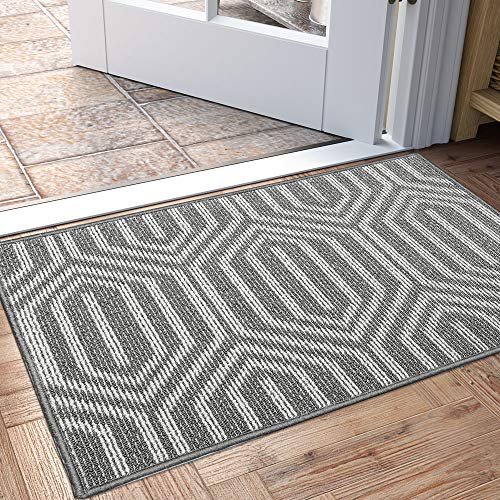 DEXI Indoor Doormat, Non Slip Absorbent Resist Dirt Entrance Rug, 24”x36” Machine Washable Low-Profile Inside Floor Door Mat