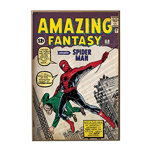 Silver Buffalo MC8536 Spiderman Fantasy First Appearance Wood Wall Art Plaque, 13 x19 inches