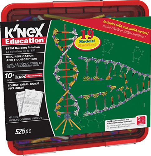 K’NEX Education – DNA Replication and Transcription Set – 525 Pieces – Ages 10+ Science Educational Toy