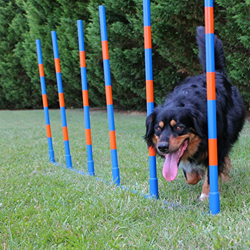 Lord Anson Dog Agility Weave Poles - Competition Grade Adjustable Agility Weave Pole Set - Dog Agility Equipment Set - 12 Weave Pole Set w/Carrying Case