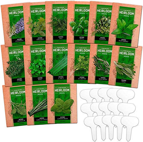 15 Culinary Herb Seed Vault - Heirloom and Non GMO - 4500 Plus Seeds for Planting for Indoor or Outdoor Herbs Garden, Basil, Cilantro, Parsley, Chives, Lavender, Dill, Marjoram, Mint, Rosemary, Thyme