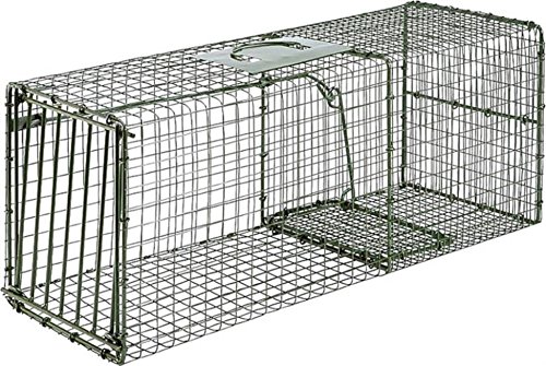 Duke Traps Heavy Duty Large Cage Trap