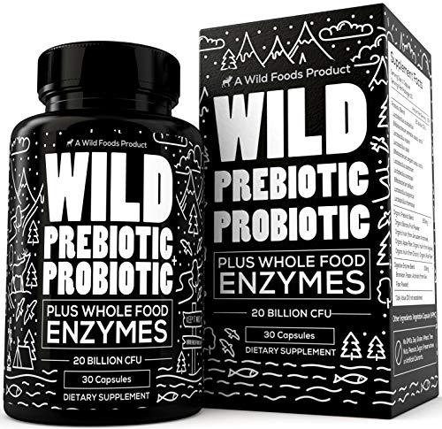 Wild Prebiotics and Probiotics for Women and Men - Breakthrough Digestive Enzymes Supplement Supports Gut Health & Digestion - Gluten Free & Non-GMO Astragalus Supplement - Wild Foods